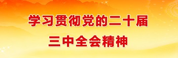 學習貫徹黨的二十屆三中全會精神
