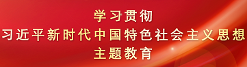 學習貫徹習近平新時代中國特色社會主義思想主題教育
